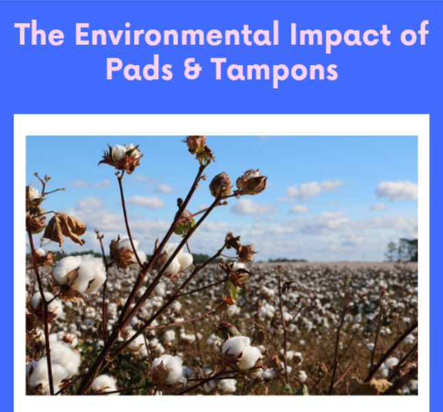 The Environmental Impact of Pads & Tampons