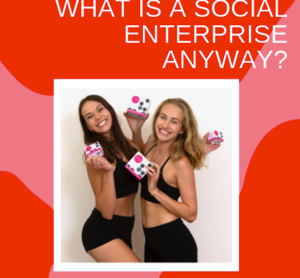 What is a social enterprise anyway?